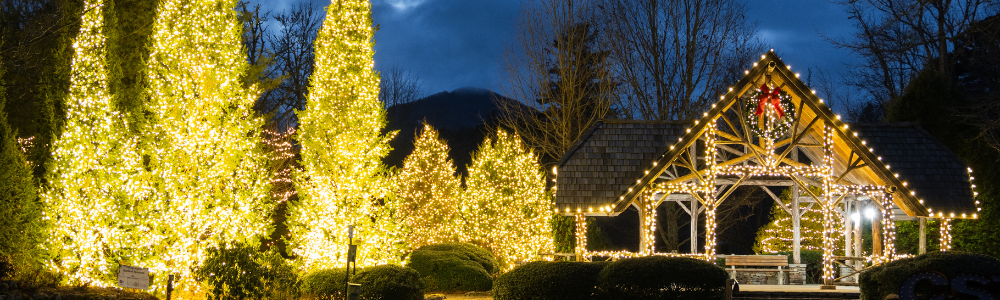 Copy of Untitled (1000 x 300 px) Christmas